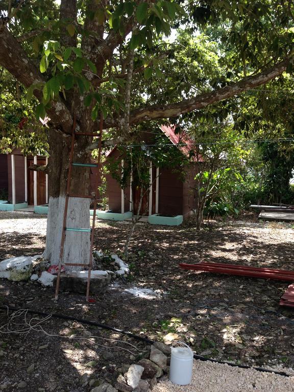 Cabanas Chaac Calakmul Xpujil Esterno foto