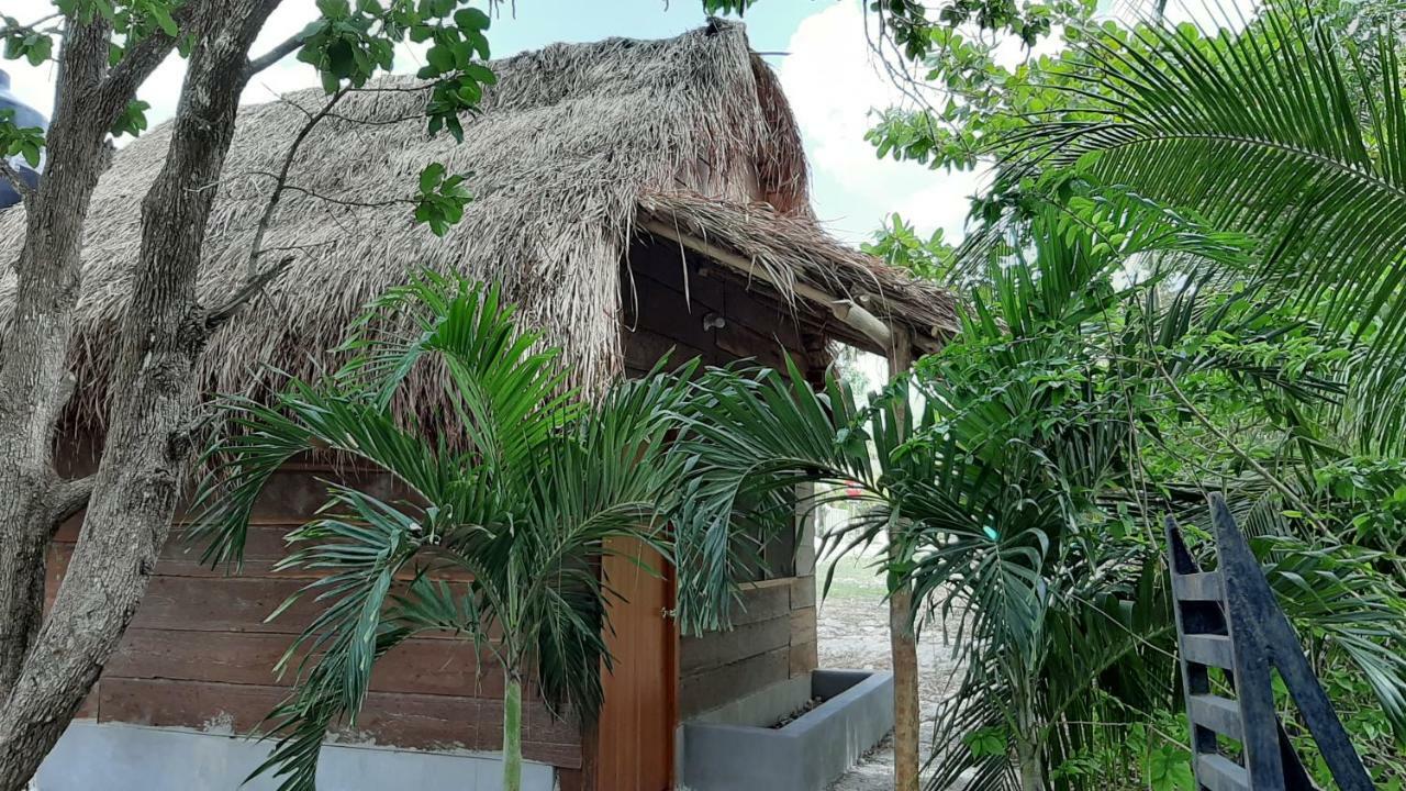 Cabanas Chaac Calakmul Xpujil Esterno foto